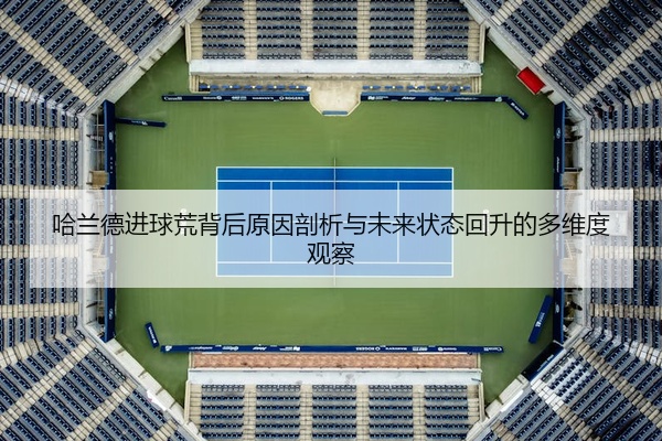 哈兰德进球荒背后原因剖析与未来状态回升的多维度观察